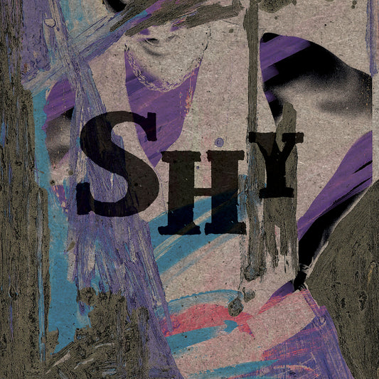 Ani DiFranco - Shy (Dessa Remix) (Single)
