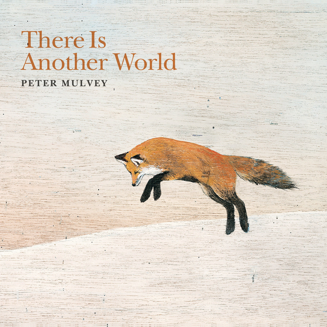 Peter Mulvey's new album out now