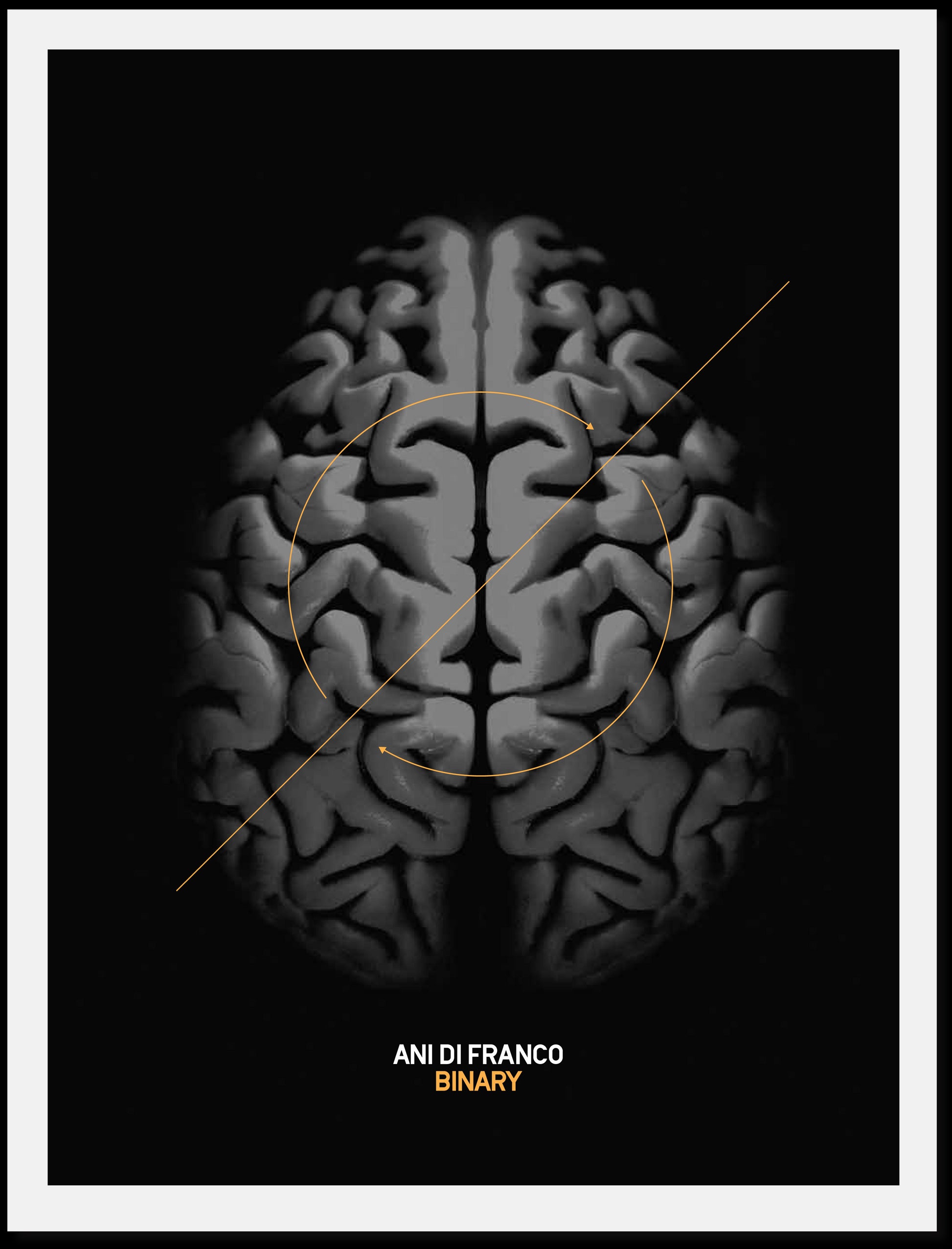 Brain Poster - Signed by Ani